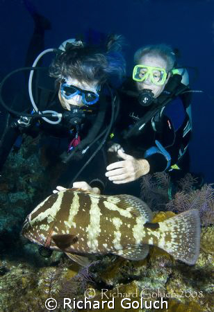 Nassau Grouper and two divers-Turks & Caicos by Richard Goluch 
