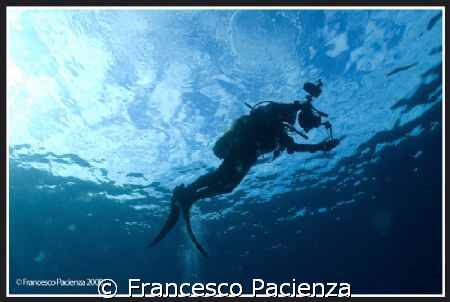 Photographer. Taken with Nikon D60 in Easydive housing wi... by Francesco Pacienza 