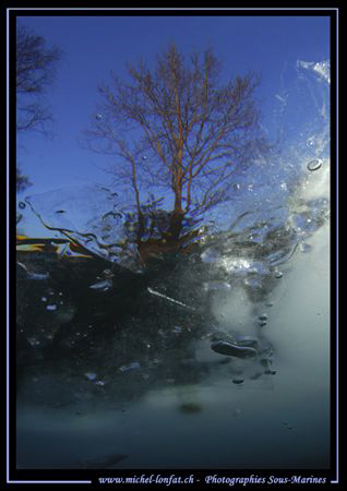 End of today's dive... Water, Ice and a Tree... The water... by Michel Lonfat 