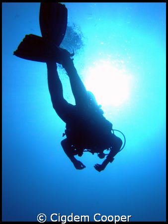 Diver under the sun. by Cigdem Cooper 