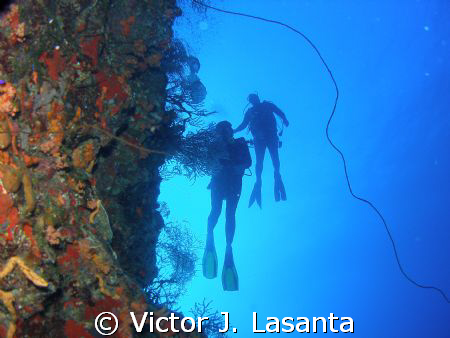 two at the edge of the wall in v.j.levels dive site at pa... by Victor J. Lasanta 
