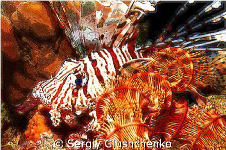 Lion Fish (night) by Sergiy Glushchenko 