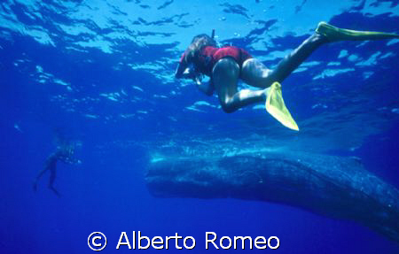 I,  my wife and our u/w team found a 60-foot (18 meter) -... by Alberto Romeo 