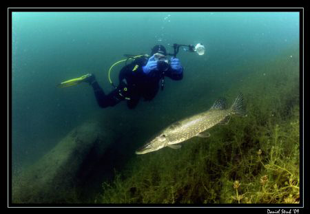 King PIKE, the Underwaterphotographer and the Icy Pond ..... by Daniel Strub 