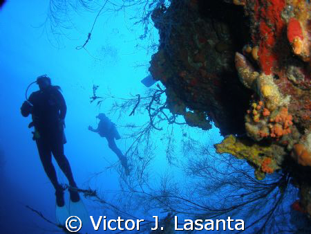 heaven view in the wall at window dive site in parguera a... by Victor J. Lasanta 
