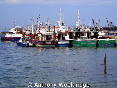 Fishing boats,taken in the Port Elizabeth Harbour by Anthony Wooldridge 
