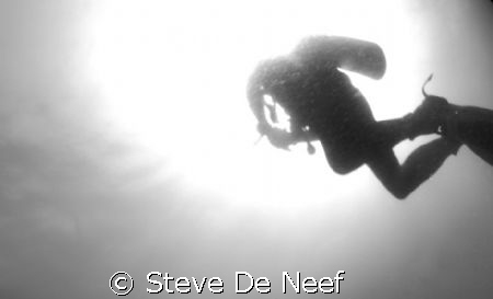 taken upon surfacing on apo island by Steve De Neef 