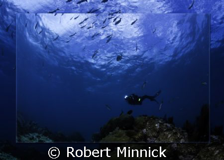 Diving Key Largo by Robert Minnick 