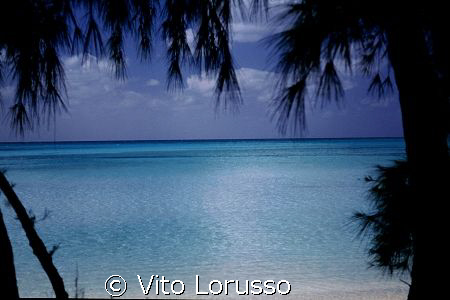 Bahamas - Eluthera by Vito Lorusso 