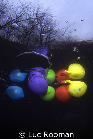 Ice Baloons.
This shot is taken under the ice last winte... by Luc Rooman 