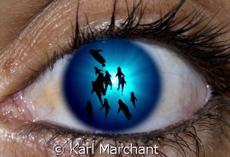 Fish Eye Lens by Karl Marchant 