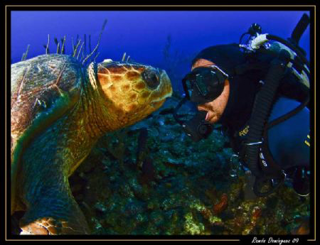 Face to face. A big sea turtle analizes the strange subject by Ramón Domínguez 