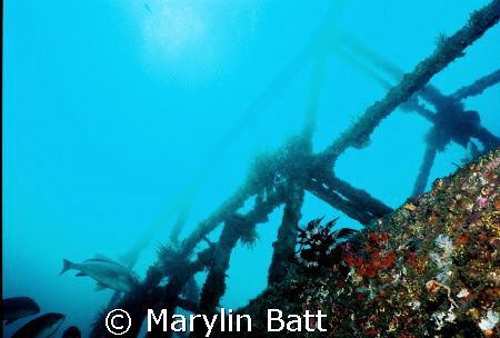 Wreck of the Almajane off Atlantis resort. Nikonos V 20mm... by Marylin Batt 