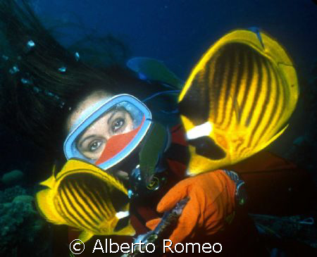 YELLOW BUTTERFLYFISH AND A GIRLDIVER.
Nikonos 15 mm+ Ike... by Alberto Romeo 