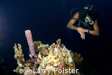 Bonaire corals, D300, Tokina 10-17 by Larry Polster 