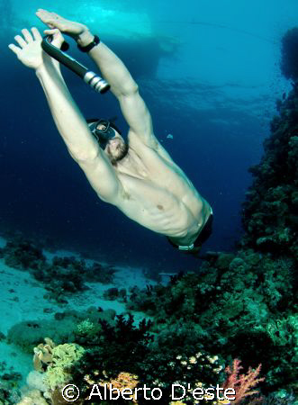 Marco in apnea dive by Alberto D'este 