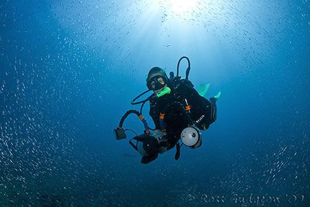 My #2 dive buddy and #1 model Kristin swimming through a ... by Ross Gudgeon 