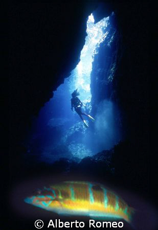 A MEDITERRANEAN WRASSE AND THE DIVER IN THE "SECRET CAVE"... by Alberto Romeo 