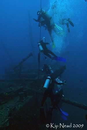 Divers heading back up the line from the Mahi wreck, Waia... by Kip Nead 
