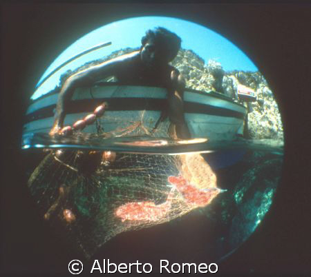 SICILYAN FISHERMAN  IN LITTLE BOAT FISHING  LITTLE SCORPI... by Alberto Romeo 