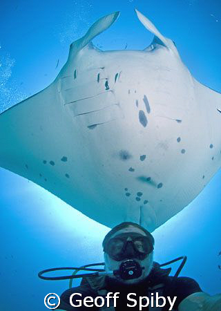 self portrait with the sun, the manta and myself all line... by Geoff Spiby 