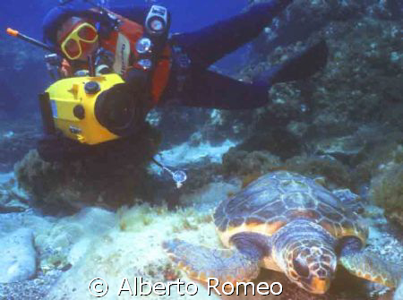 THE DIVER FILMAKER SHOOTING A TURTLE SLEEPING ON THE BOTT... by Alberto Romeo 