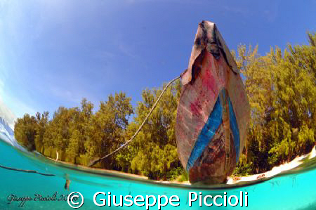 In front of the prow by Giuseppe Piccioli 