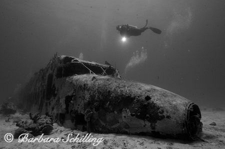 Airplane Wreck with Diver in the BVIs by Barbara Schilling 