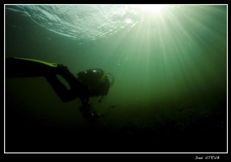 Sven finishing his dive at Rivaz gare, just great fun :-)) by Daniel Strub 