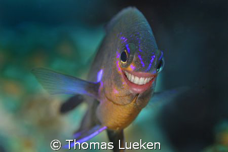 always dive with a smile by Thomas Lueken 