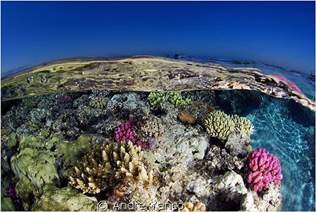 It was the end of a very nice dive in Tiran and everybody... by Andre Yanco 