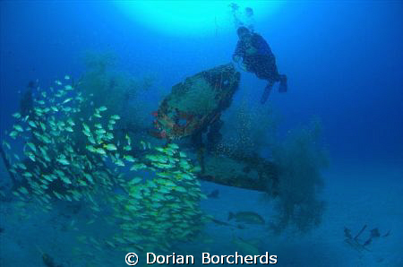 Diver at the Deep Pete.This is a WW2 plane wreck with lot... by Dorian Borcherds 