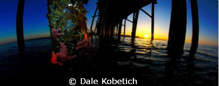 this shot was taken with a panorama housing in the winter... by Dale Kobetich 