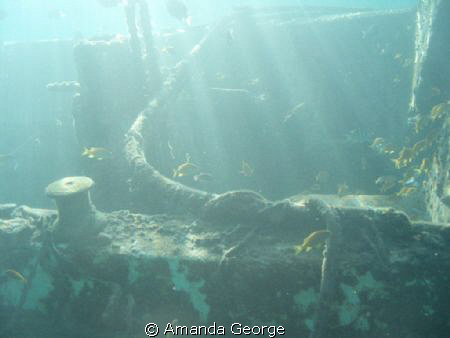 My very first wreck pic. Very shallow small vessel wreck.... by Amanda George 