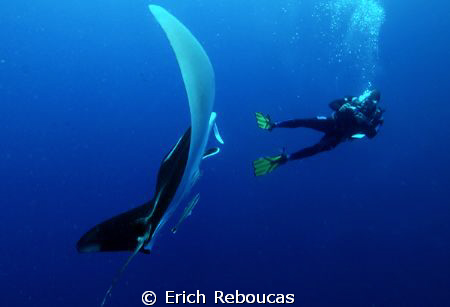 Diver and Manta by Erich Reboucas 