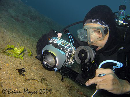 While photographing a tiny painted frogfish, Larry shows ... by Brian Mayes 