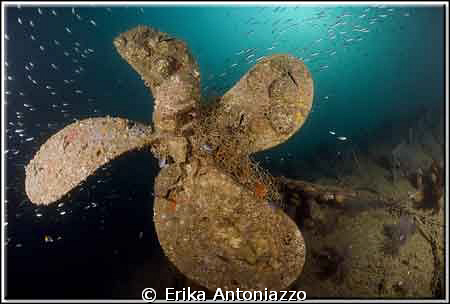 Propellor of the Wreck in Koh Lipe by Erika Antoniazzo 