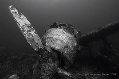 Japanese Sea Plane wreck in Palau by Jonathan Regan 