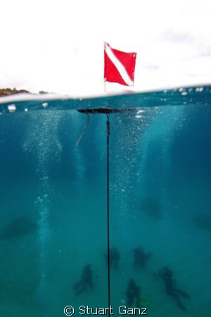 Open water class @ Sharks Cove, Oahu's North Shore. by Stuart Ganz 