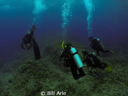 Boat dive.  Big Island, Hawaii.  Olympus SP350 and Inon w... by Bill Arle 