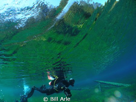 Start of the dive.  Clear Lake in the Oregon Cascade Moun... by Bill Arle 