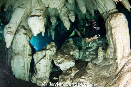 Scuba diver near entrance in Grand cenote Mexico by Javier Sandoval 