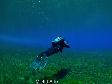 Dive leader doing his dolphin kick.  Clear Lake in Oregon... by Bill Arle 