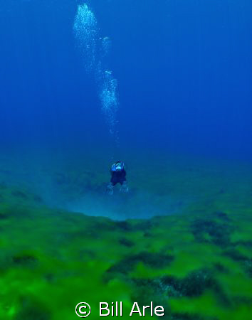 Diver and freshwater spring.  Clear Lake, Oregon Cascade ... by Bill Arle 