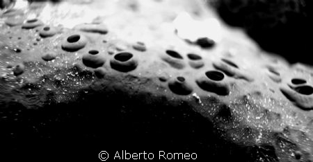 Is it the surface of the moon ?  NO ! It is a sponge........ by Alberto Romeo 