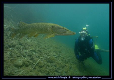 The Encounter of a Big Pike Fish with my wife Caroline...... by Michel Lonfat 