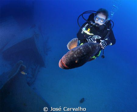 Diver playing with giant grouper - Madeirense wreck, Port... by José Carvalho 
