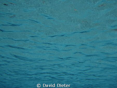 looking up at clear water by David Dieter 