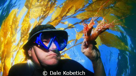 Under a kelp patty 1/4 mile off shore....self potrait of ... by Dale Kobetich 