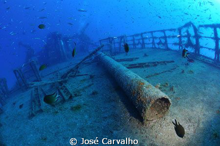 "Madeirense" wreck, Porto Santo Island, Protugal - Deck p... by José Carvalho 